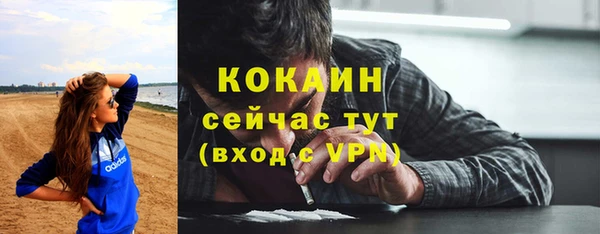 ПСИЛОЦИБИНОВЫЕ ГРИБЫ Осинники