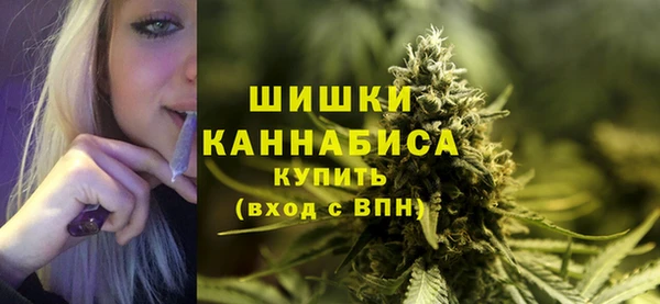 mdpv Переславль-Залесский