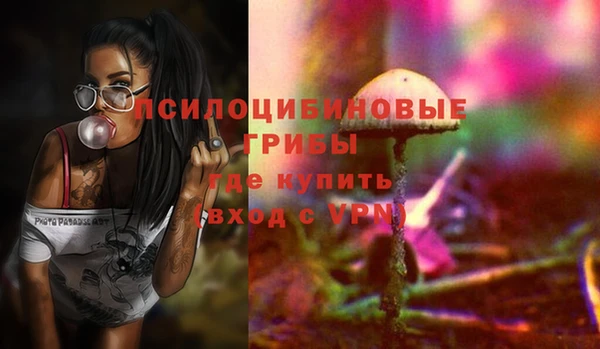 стафф Пересвет