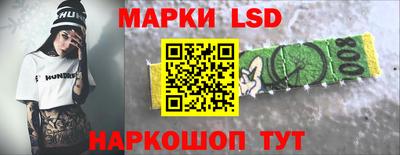 крисы Гатчина