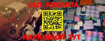 крисы Гатчина