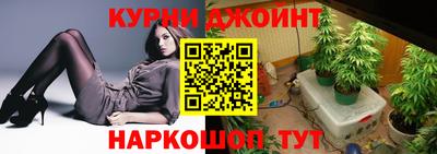 крисы Гатчина