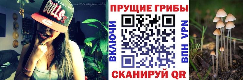 наркошоп  Октябрьский  Галлюциногенные грибы GOLDEN TEACHER 