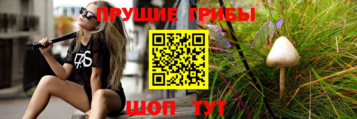 Октябрьский  Галлюциногенные грибы прущие грибы  наркотики  Вход с VPN  Псилоцибиновые грибы Cubensis 